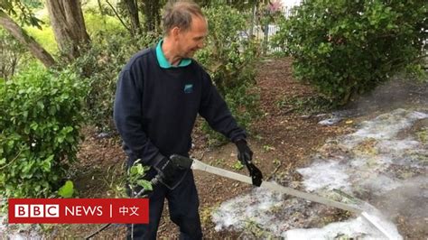 對草|科學與健康: 既能環保又減少危害的除草新法